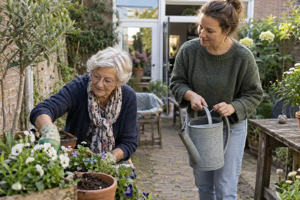 Tuin en onderhoud